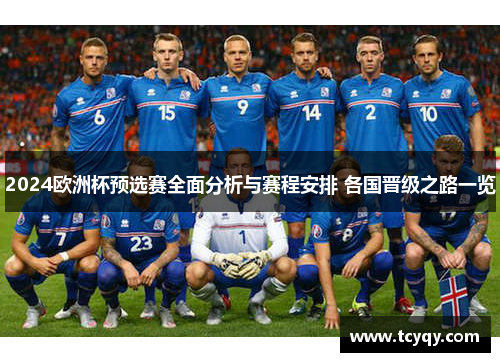 2024欧洲杯预选赛全面分析与赛程安排 各国晋级之路一览