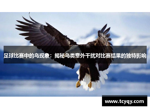 足球比赛中的鸟现象：揭秘鸟类意外干扰对比赛结果的独特影响