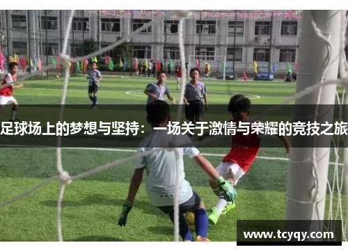 足球场上的梦想与坚持：一场关于激情与荣耀的竞技之旅