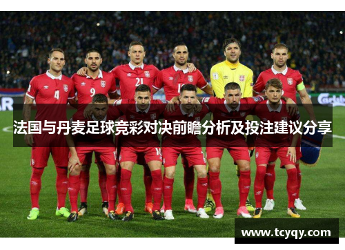 法国与丹麦足球竞彩对决前瞻分析及投注建议分享