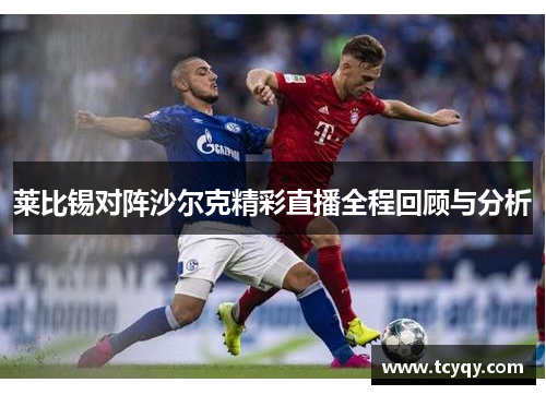莱比锡对阵沙尔克精彩直播全程回顾与分析