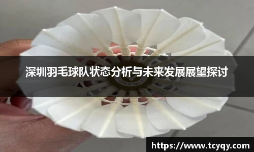 深圳羽毛球队状态分析与未来发展展望探讨